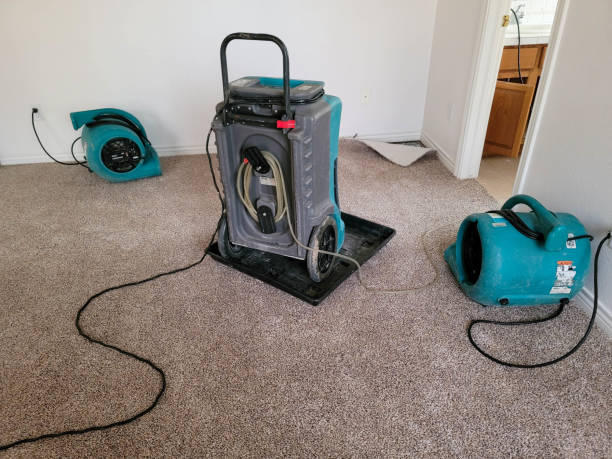 Best Basement water damage restoration  in Welch, WV