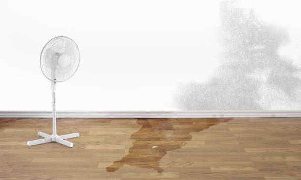 Best Water damage restoration cost  in Welch, WV