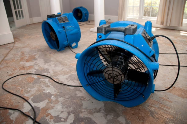 Best Flood damage cleanup  in Welch, WV