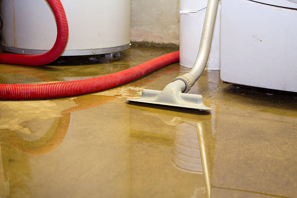Best Local water damage restoration  in Welch, WV