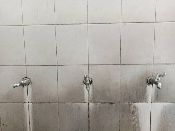 Carpet water damage restoration in Welch, WV