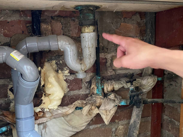 Best Local water damage restoration  in Welch, WV