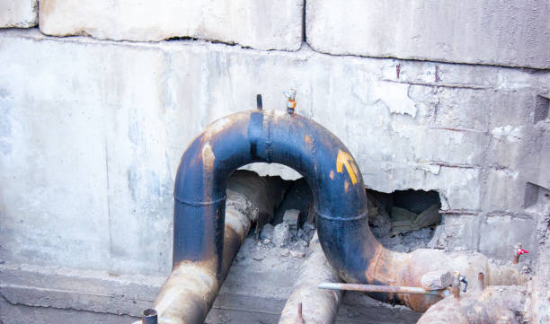 Best Flood damage cleanup  in Welch, WV