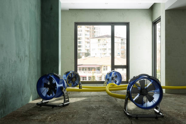 Best Commercial water damage restoration  in Welch, WV